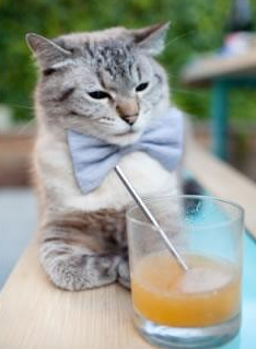 九游jiuyou-【规则创新】如何改变棒球比赛的战略布局，棒球比赛中会作出何种决策