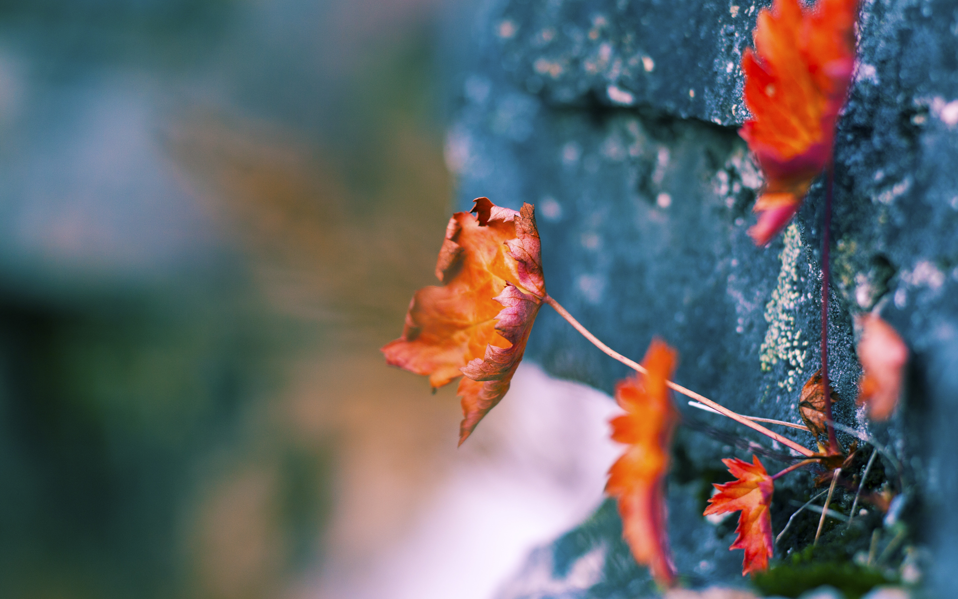 JIU YOU GAME-伊朗男足在巴黎奥运会比赛中以3-1击败巴西，21年伊朗男足大名单