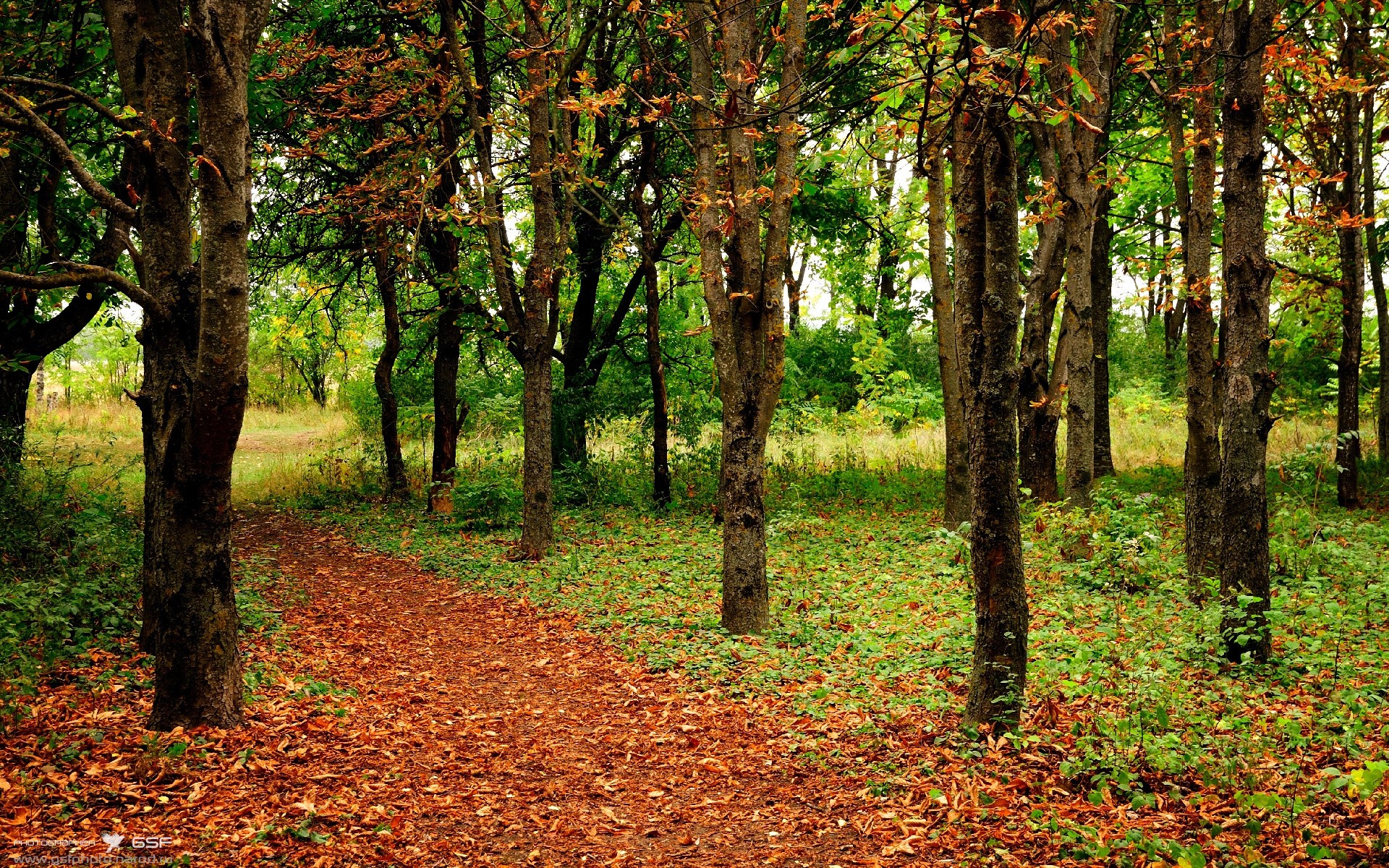 九游APP官网-全场焦点：张伟28分火力全开，带领球队获胜！，张伟 20年