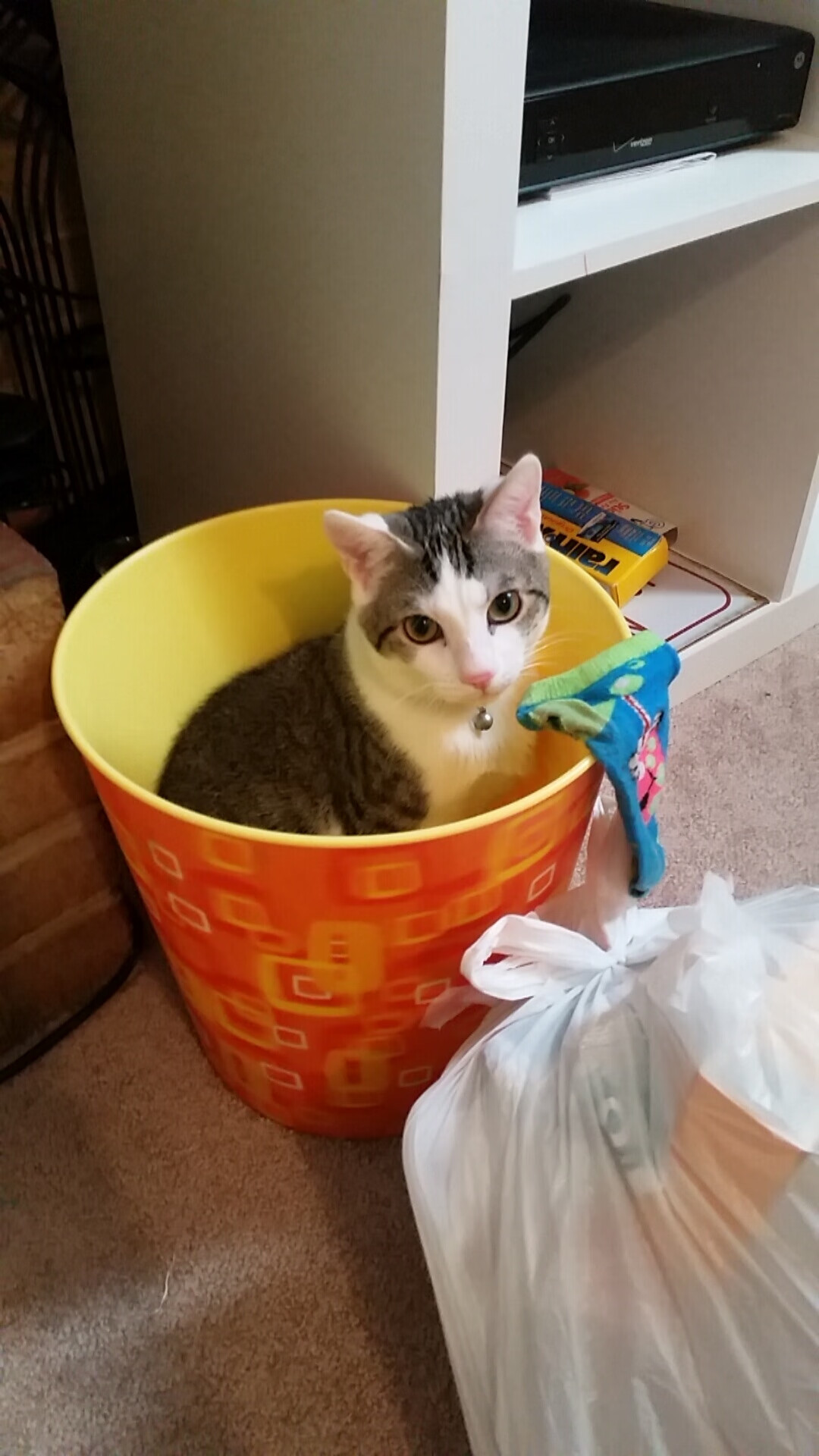 九游娱乐APP-特色篮球体验馆走进偏远地区，推广运动文化，篮球体育中心