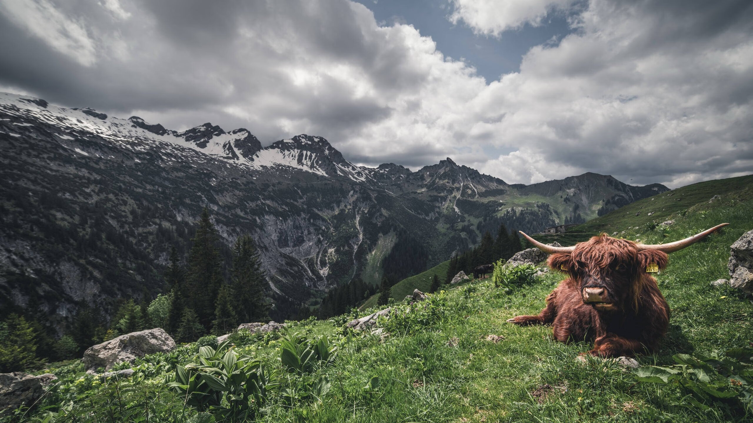 瑜伽选手获得国际比赛资格,代表中国参赛,国际瑜伽锦标赛