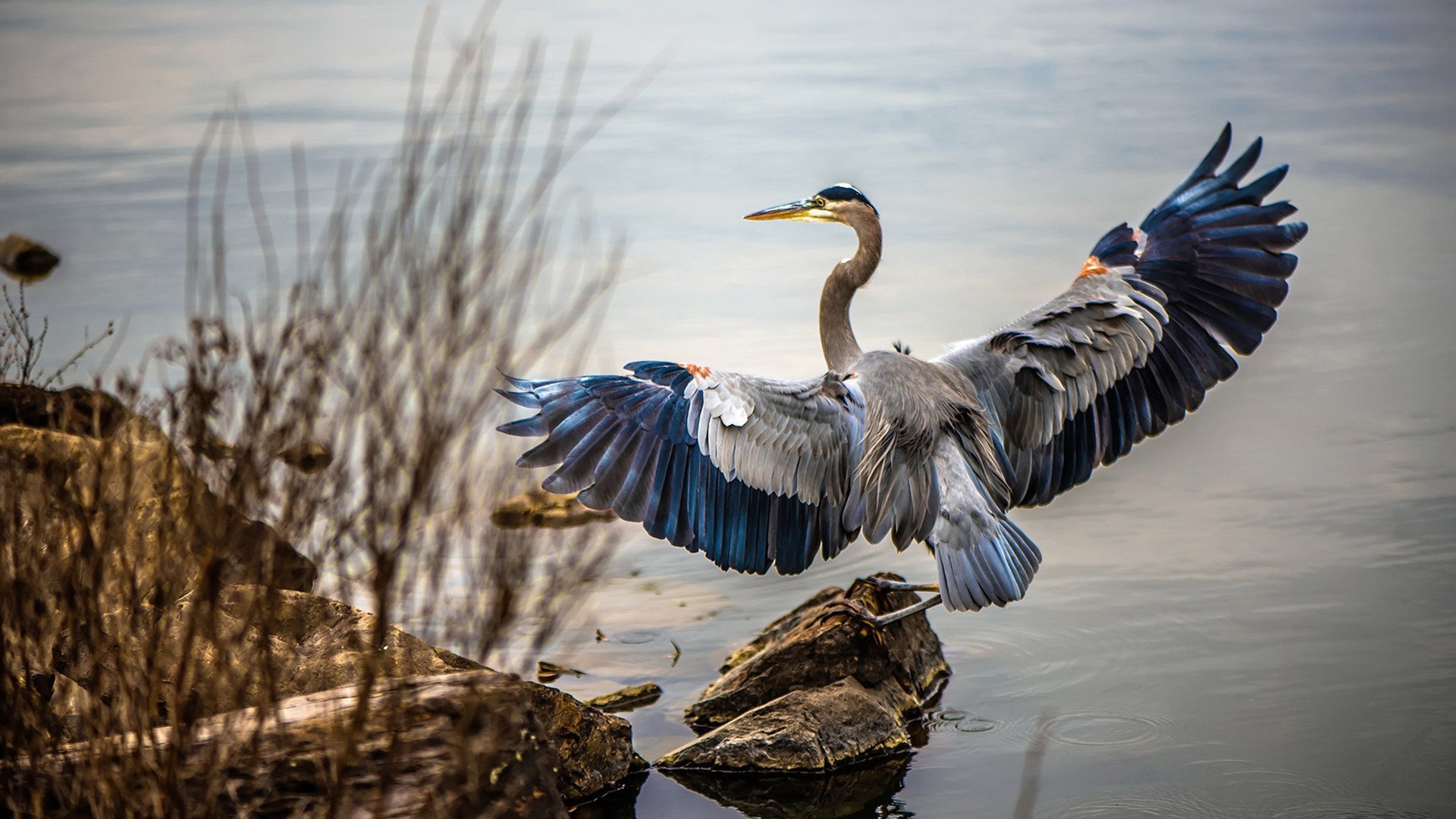 瑜伽选手获得国际比赛资格,代表中国参赛,国际瑜伽锦标赛