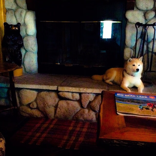 篮球青训项目加强身体协调性训练,篮球青训体系