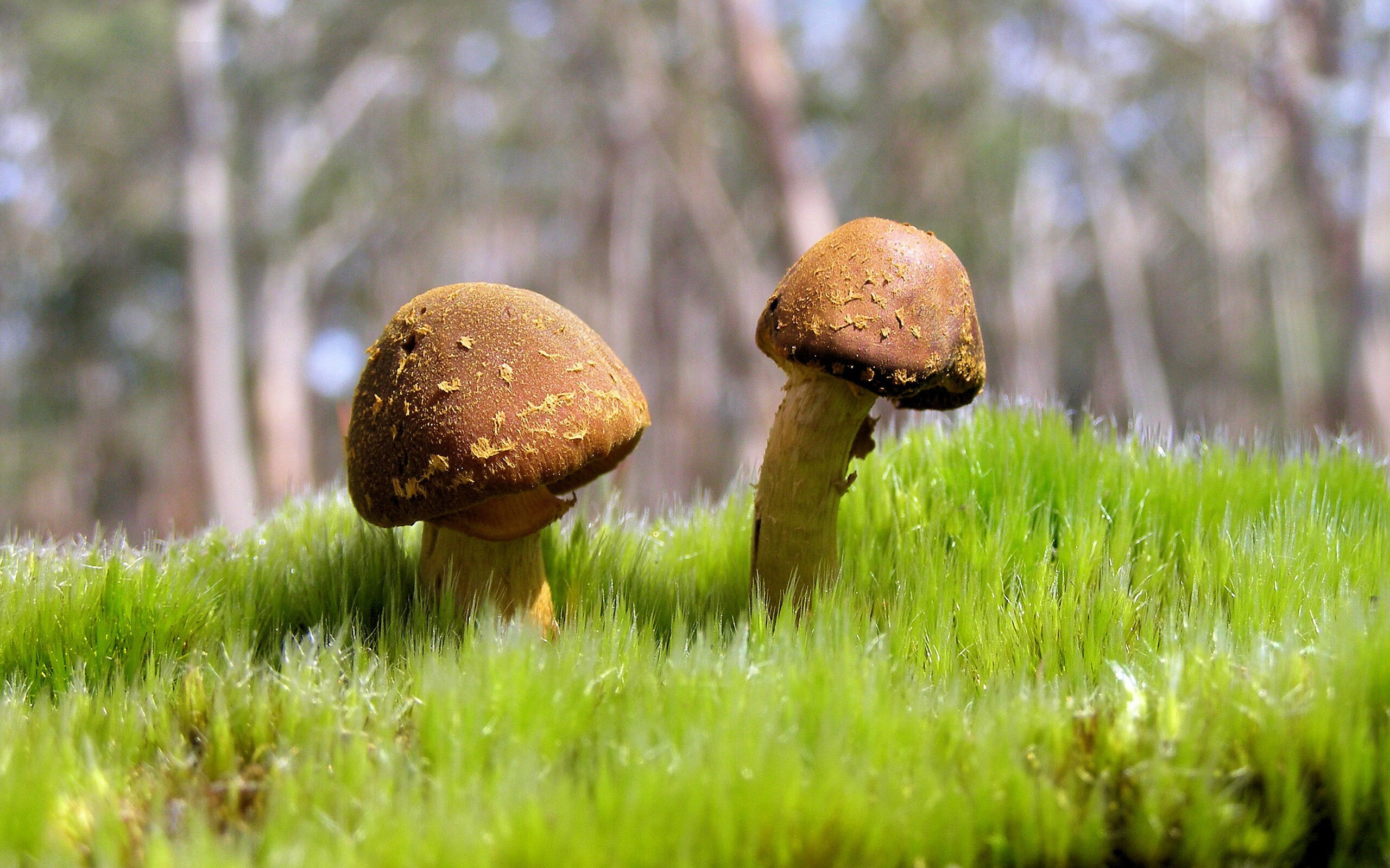 青少年“成长+技能+素养”体系在行业内不断完善,行业发展持续加快