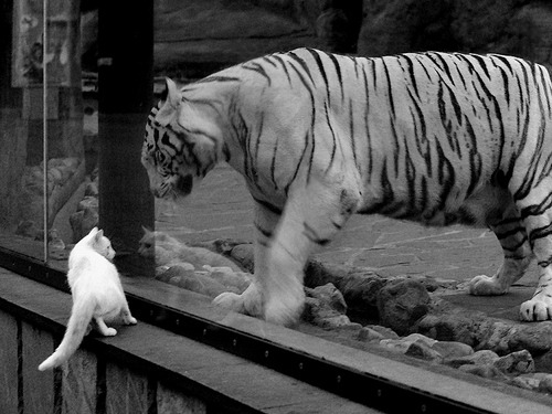 《湖人替补席表现出色,球队深度得到体现》,湖人队替补球员