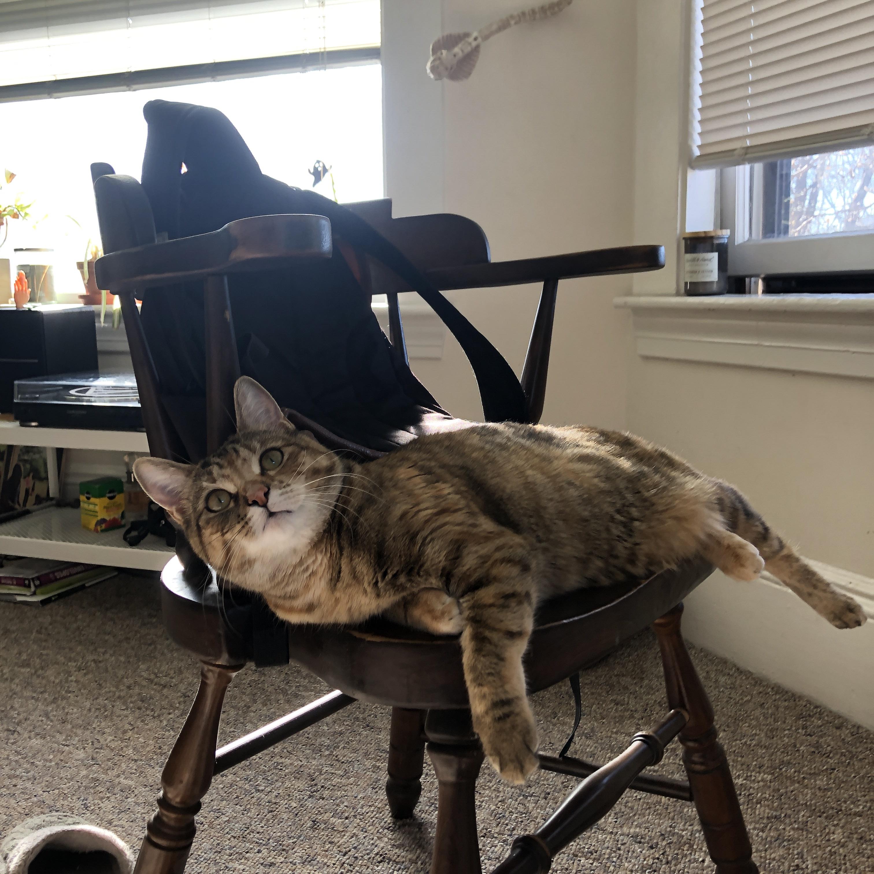 国际田联大奖赛,谢文骏刷新个人赛季最佳,谢文骏世锦赛决赛