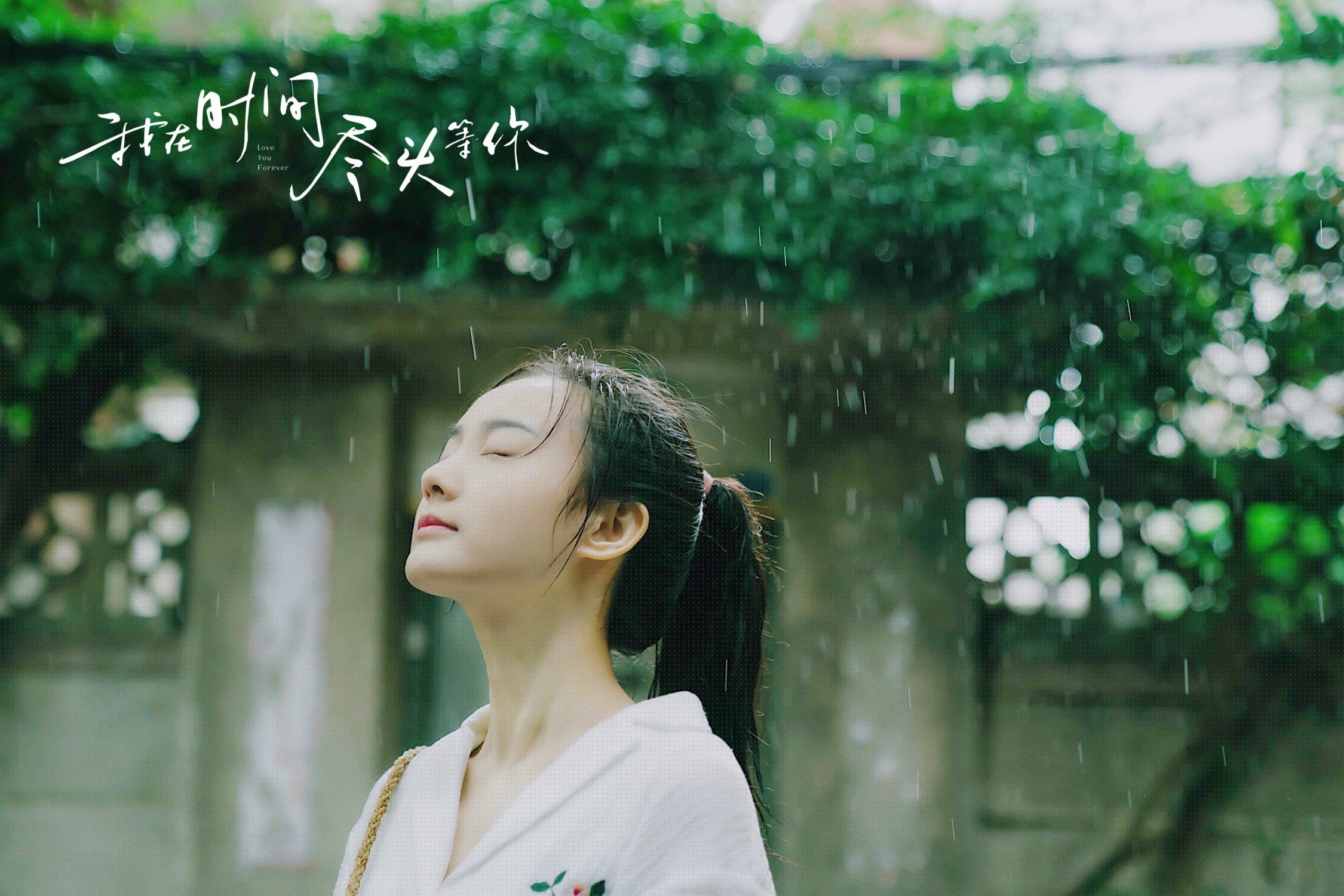 太阳名宿发声助威球队,期待晋级下一轮比赛,太阳名宿有哪些