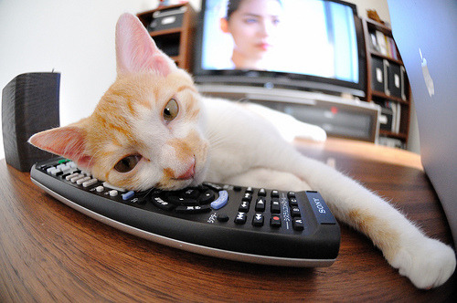 山西男篮战术调整,主场取得胜利,山西男篮实力如何