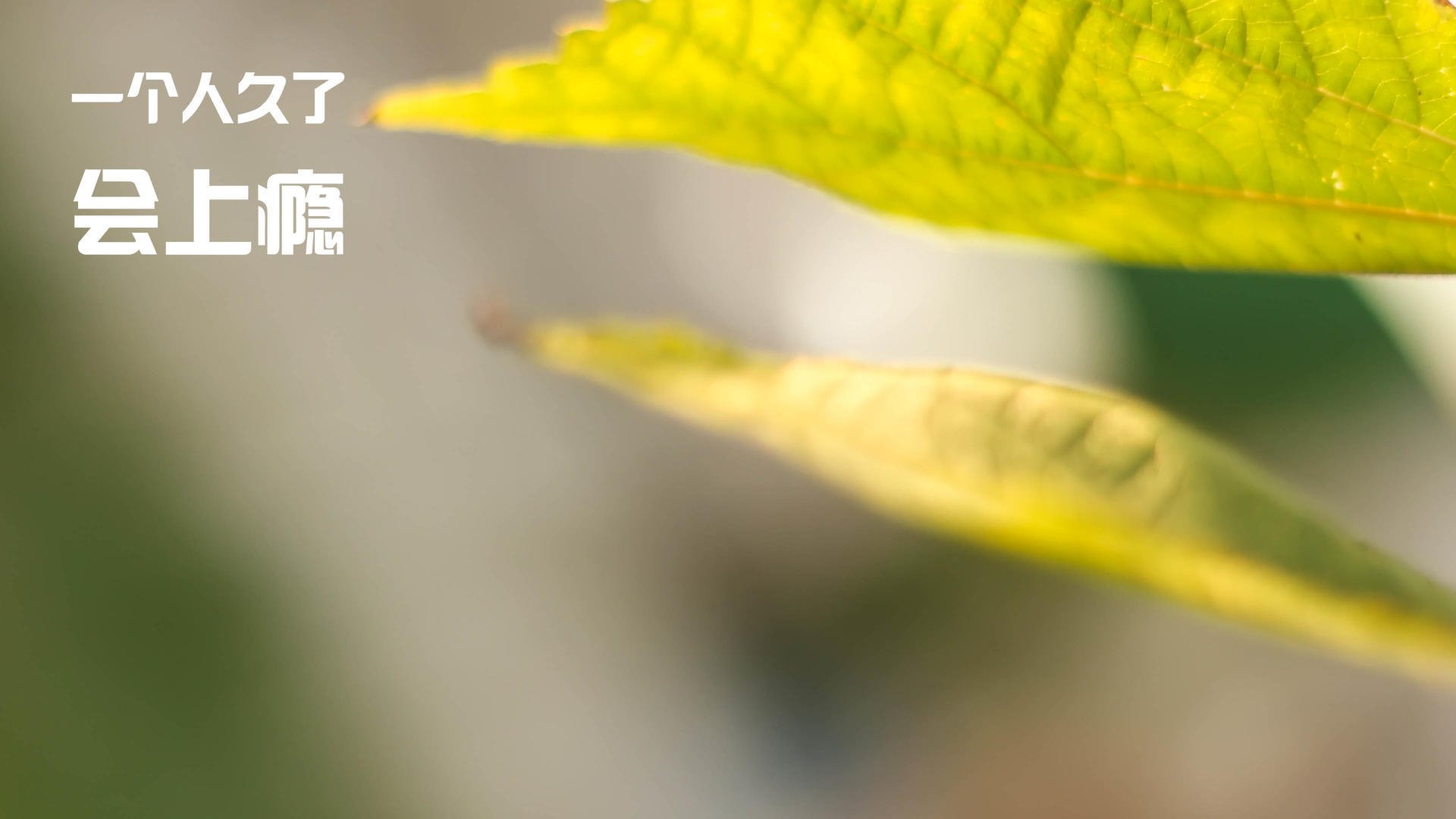 成都瑜伽大会成功举办,推动行业发展,成都瑜伽排名