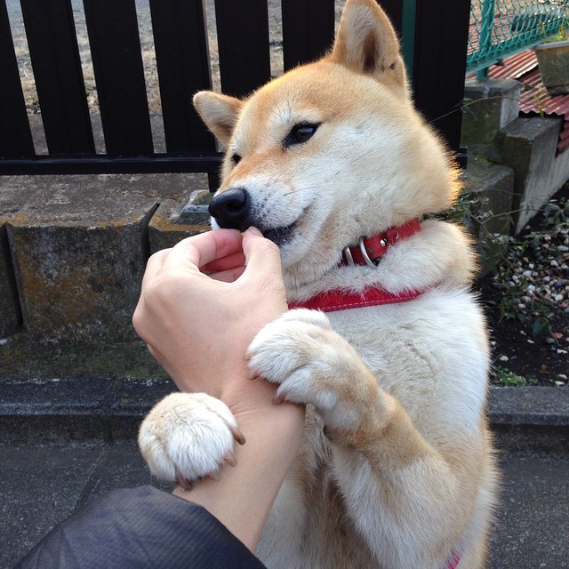 九游网页版官网-绿茵场上对决激烈，球队足坛巨星出色表现，绿茵场上对决激烈,球队足坛巨星出色表现怎么样