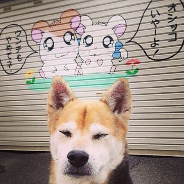 JIUYOU GAMING-非洲球员加盟欧洲豪门俱乐部，引发关注，非洲球员加盟欧洲豪门俱乐部,引发关注的电影