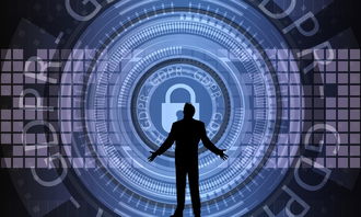 九游网页版入口-中国篮球联赛赛事安全管理优化与执行研究，篮球赛事安全风险