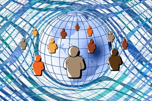 九游娱乐APP-中小学体育教师数字化教学能力提升路径，数字化体育教学应用