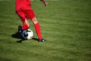九游下载官网-校园足球教练培训体系现状与改革思路，校园足球师资培训