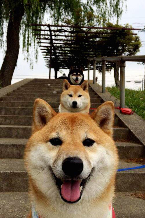 球迷最期待：不可错过的本周大战赛事，本周足球赛预告