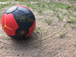 九游官网pc-“沙滩赛场燃爆天府新区，沙滩手球和合球上演极限对决”