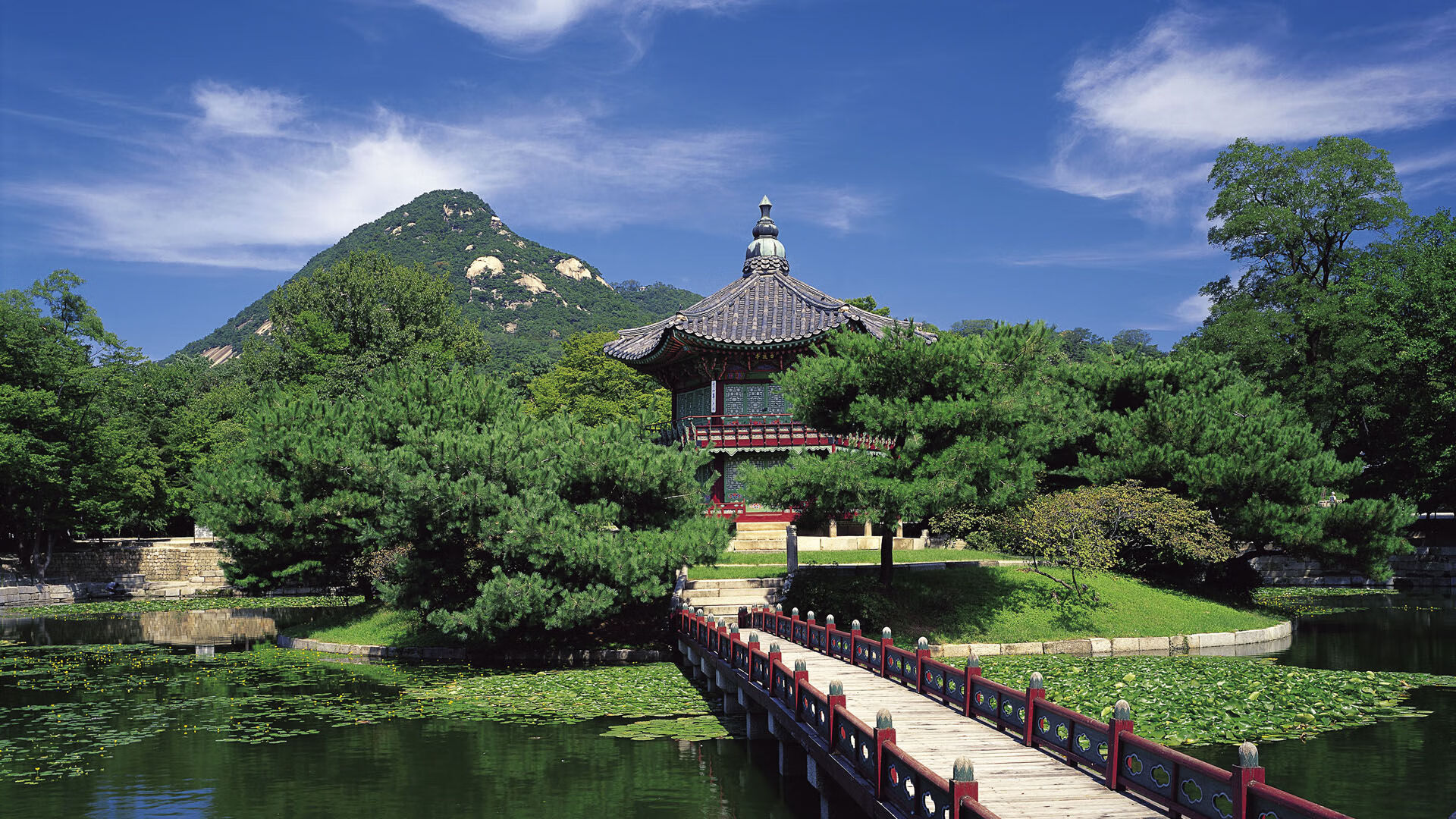 体育新闻中心推动体育赛事VR直播技术创新,vr体育的概念