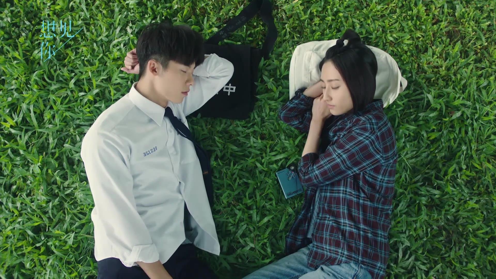 世界杯赛场的环保可持续措施,世界杯环保基金