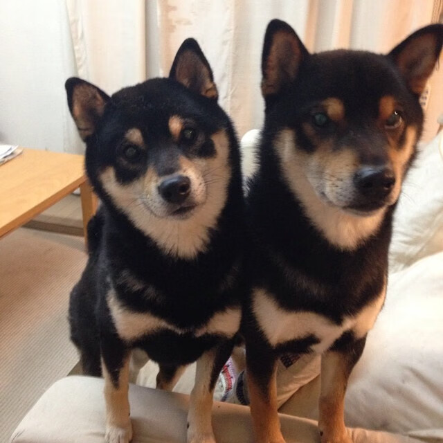 九游游戏中心官网-凯尔·查默斯男子100米自由泳决赛技术解析，100米自由泳历史最好成绩排名