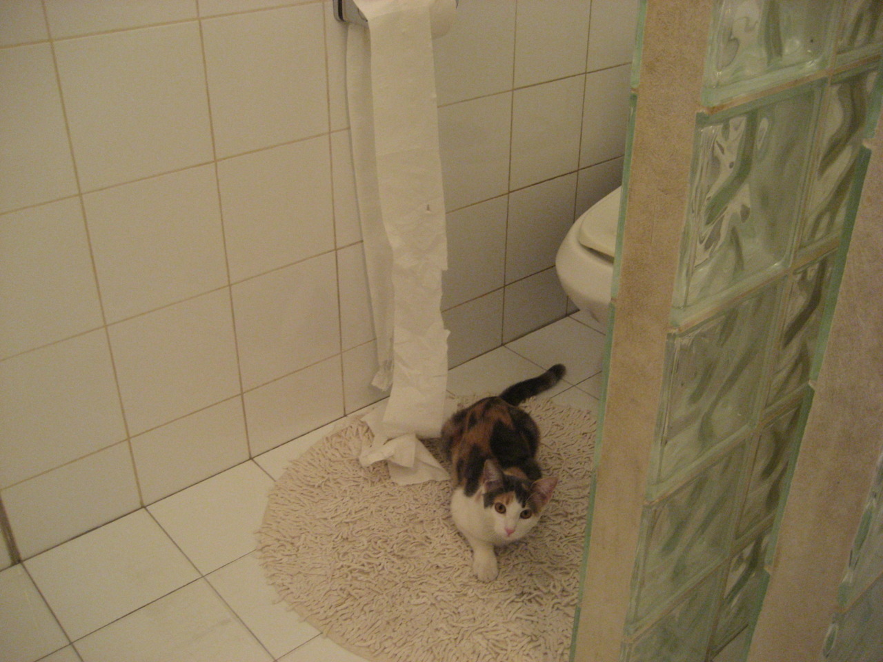 拉尼·帕利斯特耐力与速度兼备，帕特莱利尼克斯