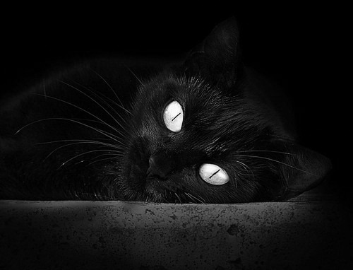 欧洲杯巅峰之战：战术对拼令人目不暇接，欧洲杯最争议一幕