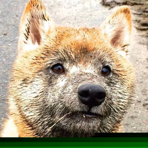 骑士训练结束后进行头脑风暴战术讨论,骑士训练营